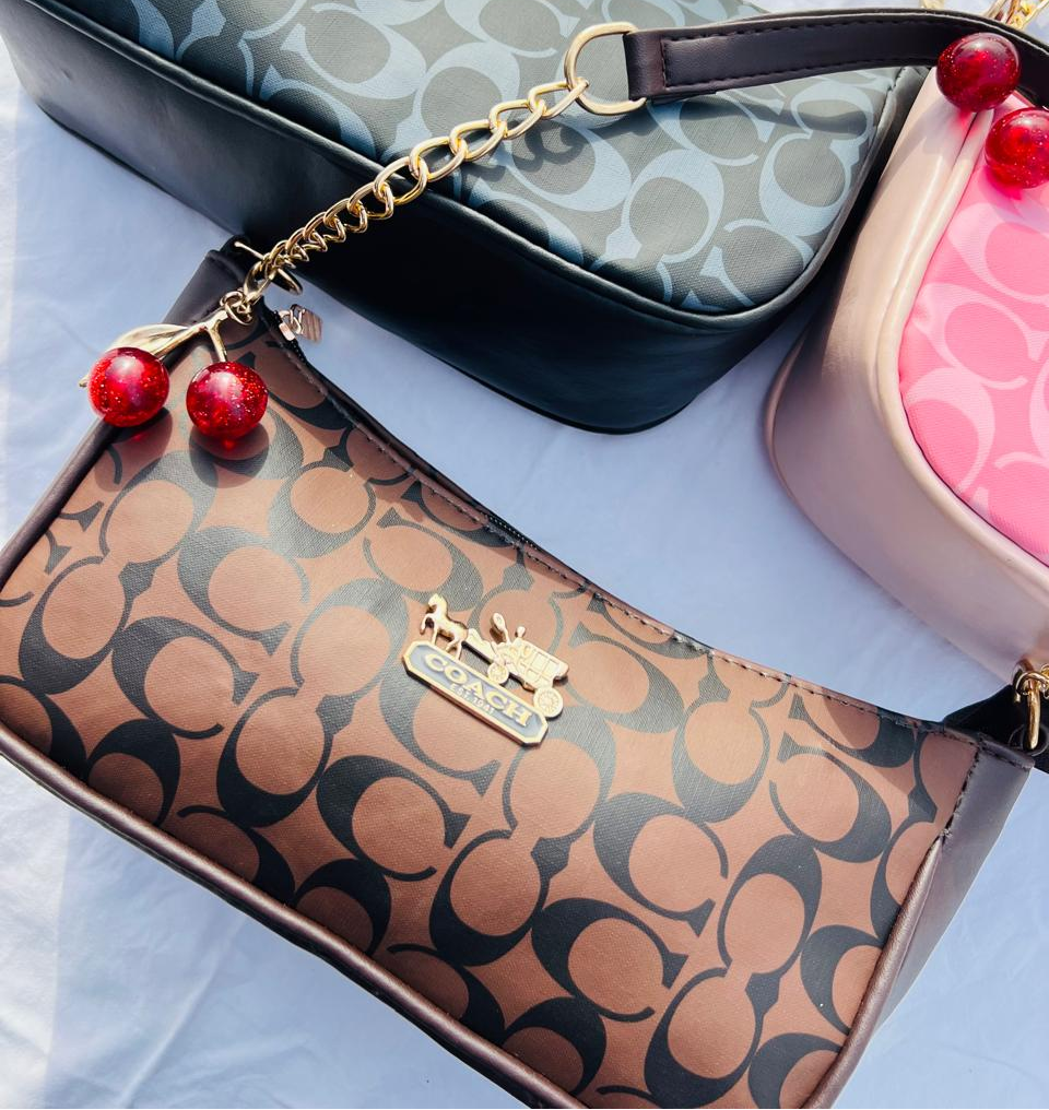 Coach bag + keycahin