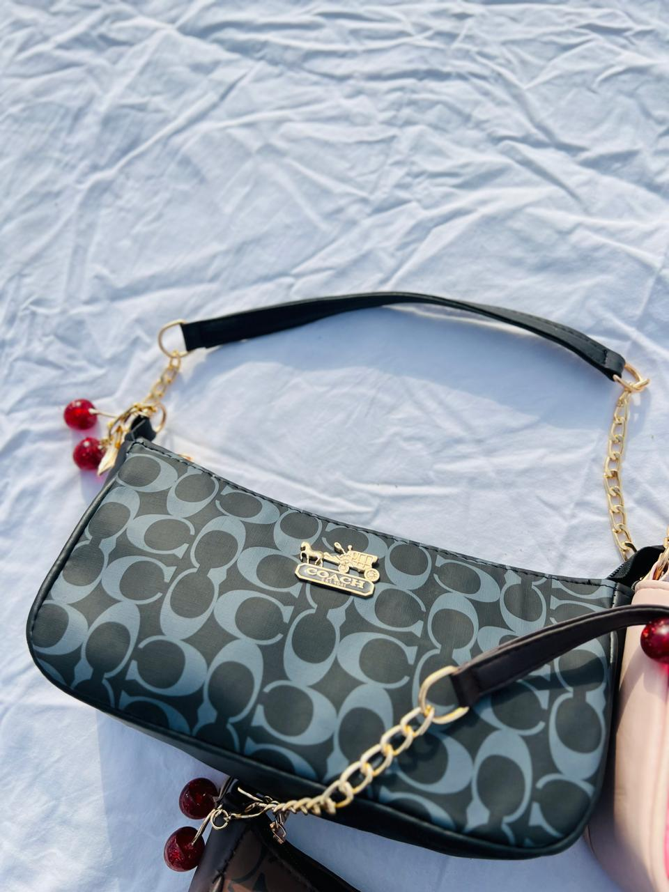 Coach bag + keycahin