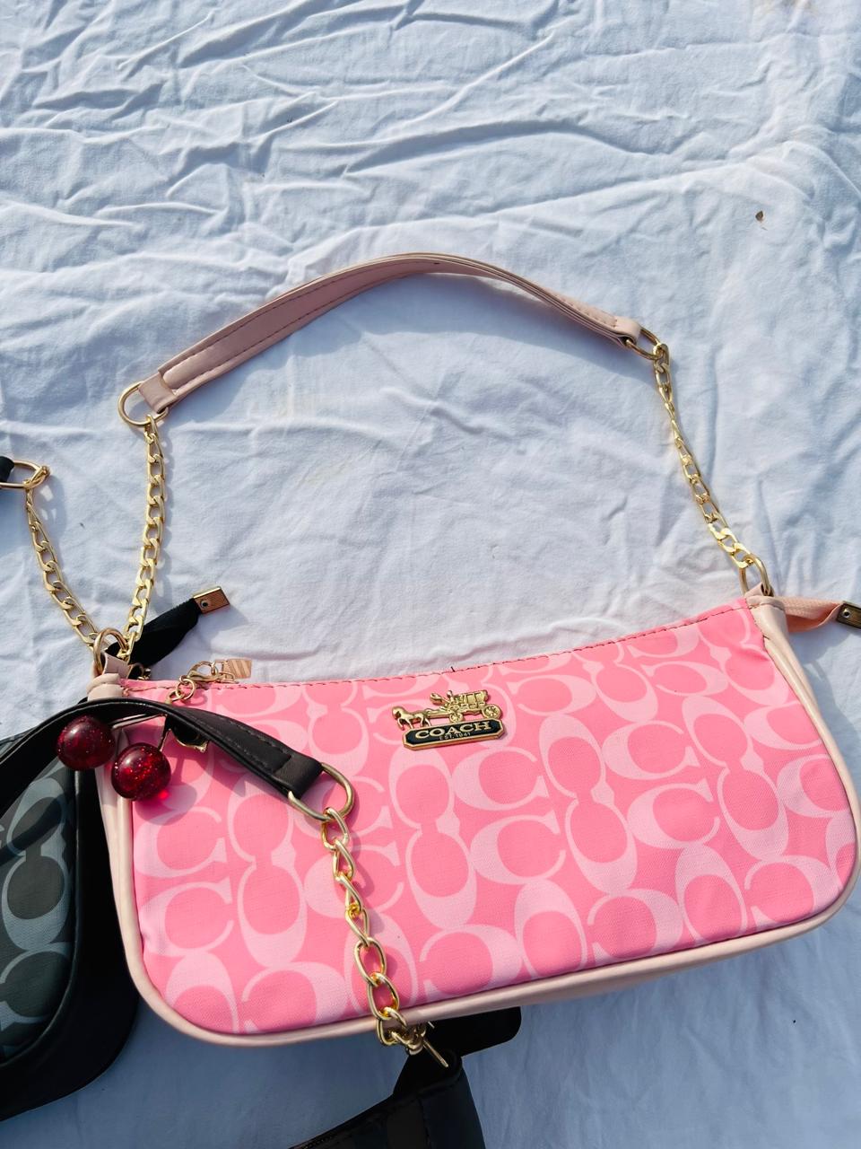 Coach bag + keycahin
